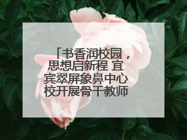 书香润校园，思想启新程 宜宾翠屏象鼻中心校开展骨干教师读书分享活动
