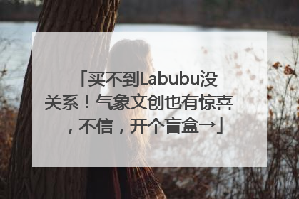 买不到Labubu没关系！气象文创也有惊喜，不信，开个盲盒→