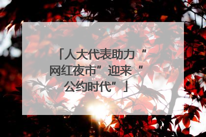 人大代表助力“网红夜市”迎来“公约时代”