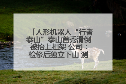 人形机器人“行者泰山”泰山首秀滑倒被抬上担架 公司：检修后独立下山 测试就是为暴露问题