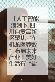 人工智能浪潮下 四川自贡高新区聚焦“车机龙医算数”布局未来产业丨美好生活有“盐”味