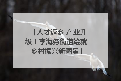 人才返乡 产业升级！李海务街道绘就乡村振兴新图景