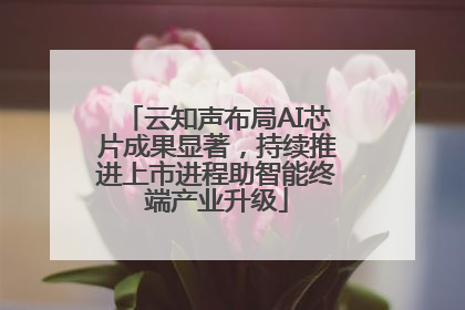 云知声布局AI芯片成果显著，持续推进上市进程助智能终端产业升级