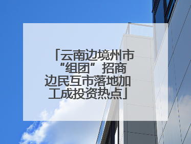 云南边境州市“组团”招商 边民互市落地加工成投资热点