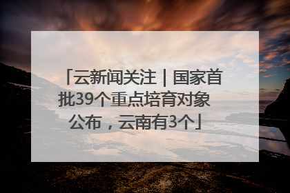 云新闻关注｜国家首批39个重点培育对象公布，云南有3个