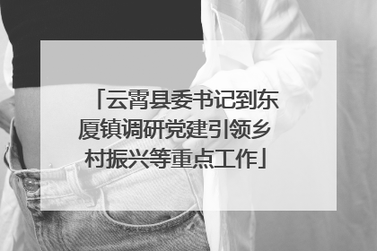 云霄县委书记到东厦镇调研党建引领乡村振兴等重点工作