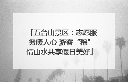 五台山景区：志愿服务暖人心 游客“粽”情山水共享假日美好