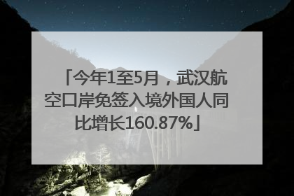 今年1至5月，武汉航空口岸免签入境外国人同比增长160.87%