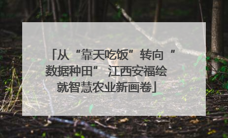 从“靠天吃饭”转向“数据种田” 江西安福绘就智慧农业新画卷