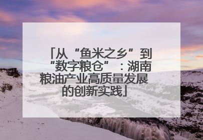 从“鱼米之乡”到“数字粮仓”：湖南粮油产业高质量发展的创新实践