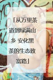 从万里茶道到绿满山乡 安化黑茶的生态致富路