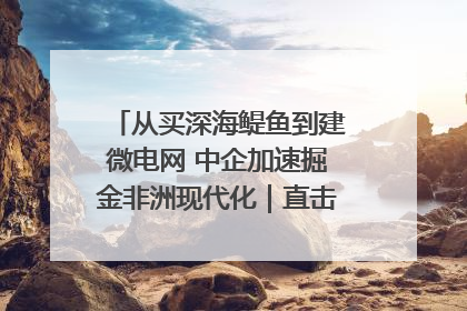 从买深海鳀鱼到建微电网 中企加速掘金非洲现代化｜直击中非经贸博览会
