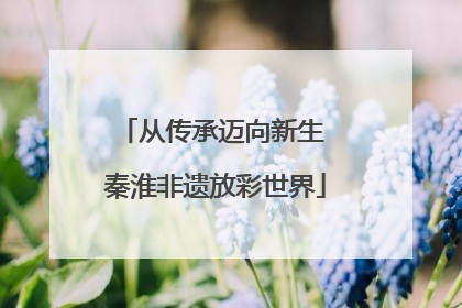从传承迈向新生 秦淮非遗放彩世界