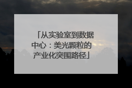 从实验室到数据中心：美光颗粒的产业化突围路径