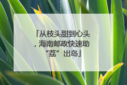 从枝头甜到心头，海南邮政快速助“荔”出岛