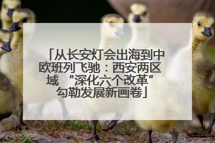 从长安灯会出海到中欧班列飞驰：西安两区域 “深化六个改革” 勾勒发展新画卷