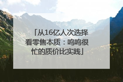 从16亿人次选择看零售本质：鸣鸣很忙的质价比实践