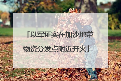 以军证实在加沙地带物资分发点附近开火