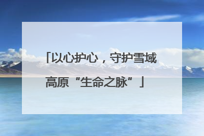 以心护心，守护雪域高原“生命之脉”