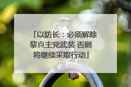 以防长：必须解除黎真主党武装 否则将继续采取行动