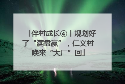 伴村成长④丨规划好了“满盘赢”，仁义村唤来“大厂”回
