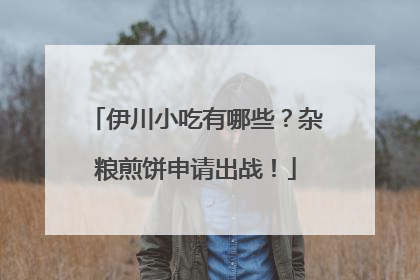 伊川小吃有哪些？杂粮煎饼申请出战！