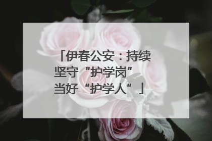 伊春公安：持续坚守“护学岗” 当好“护学人”