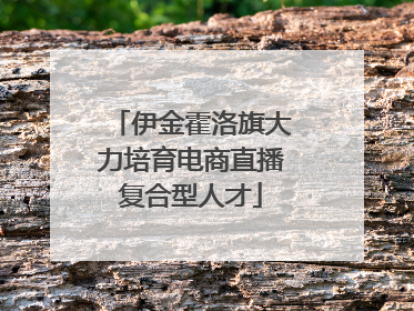 伊金霍洛旗大力培育电商直播复合型人才