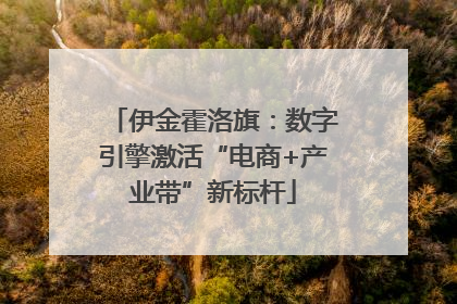 伊金霍洛旗：数字引擎激活“电商+产业带”新标杆