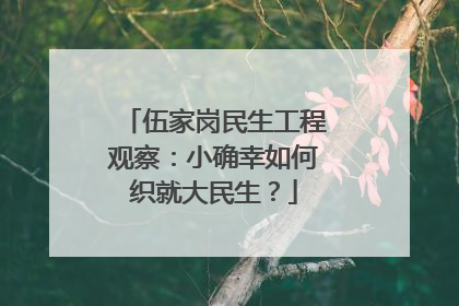 伍家岗民生工程观察：小确幸如何织就大民生？