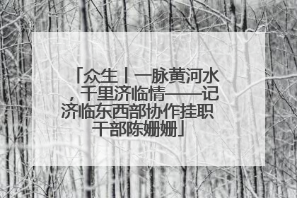 众生丨一脉黄河水，千里济临情——记济临东西部协作挂职干部陈姗姗