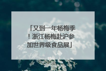 又到一年杨梅季！浙江杨梅赴沪参加世界级食品展