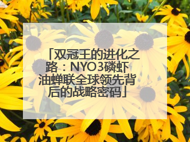 双冠王的进化之路：NYO3磷虾油蝉联全球领先背后的战略密码