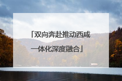 双向奔赴推动西咸一体化深度融合