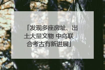 发现多座房址、出土大量文物 中乌联合考古有新进展