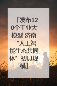 发布120个工业大模型 济南 “人工智能生态共同体”初具规模