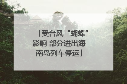 受台风“蝴蝶”影响 部分进出海南岛列车停运