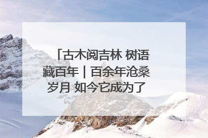 古木阅吉林 树语藏百年｜百余年沧桑岁月 如今它成为了“镇园之宝”