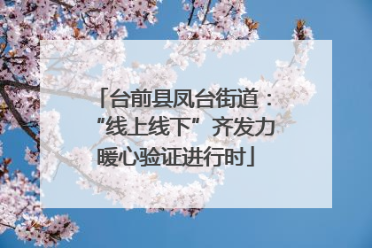 台前县凤台街道：“线上线下”齐发力 暖心验证进行时