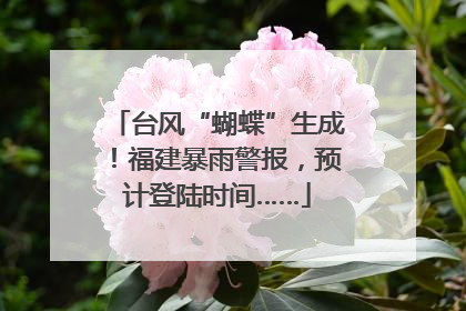台风“蝴蝶”生成！福建暴雨警报，预计登陆时间……