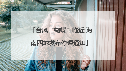 台风“蝴蝶”临近 海南四地发布停课通知