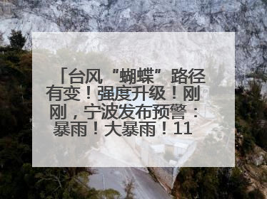 台风“蝴蝶”路径有变！强度升级！刚刚，宁波发布预警：暴雨！大暴雨！11级大风！
