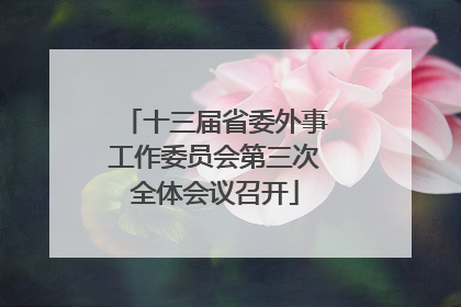 十三届省委外事工作委员会第三次全体会议召开