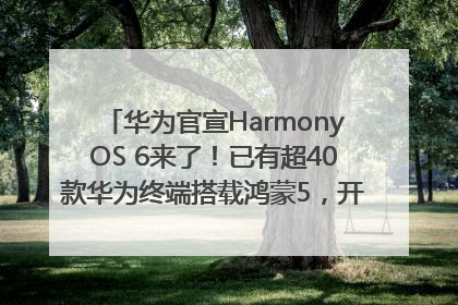 华为官宣HarmonyOS 6来了！已有超40款华为终端搭载鸿蒙5，开发者突破800万
