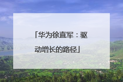 华为徐直军：驱动增长的路径