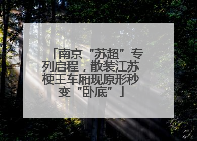 南京“苏超”专列启程，散装江苏梗王车厢现原形秒变“卧底”