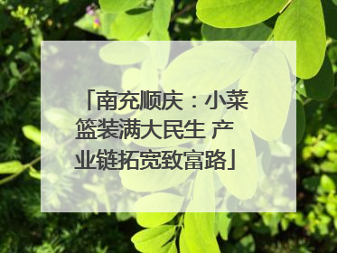 南充顺庆：小菜篮装满大民生 产业链拓宽致富路