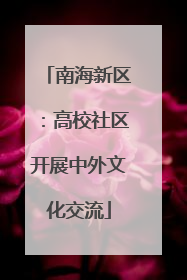 南海新区：高校社区开展中外文化交流