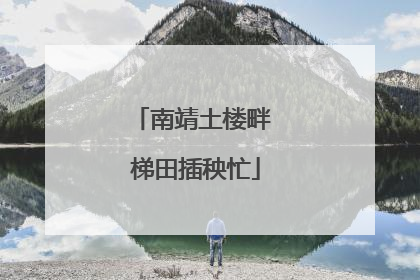 南靖土楼畔 梯田插秧忙