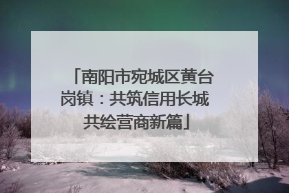 南阳市宛城区黄台岗镇：共筑信用长城 共绘营商新篇